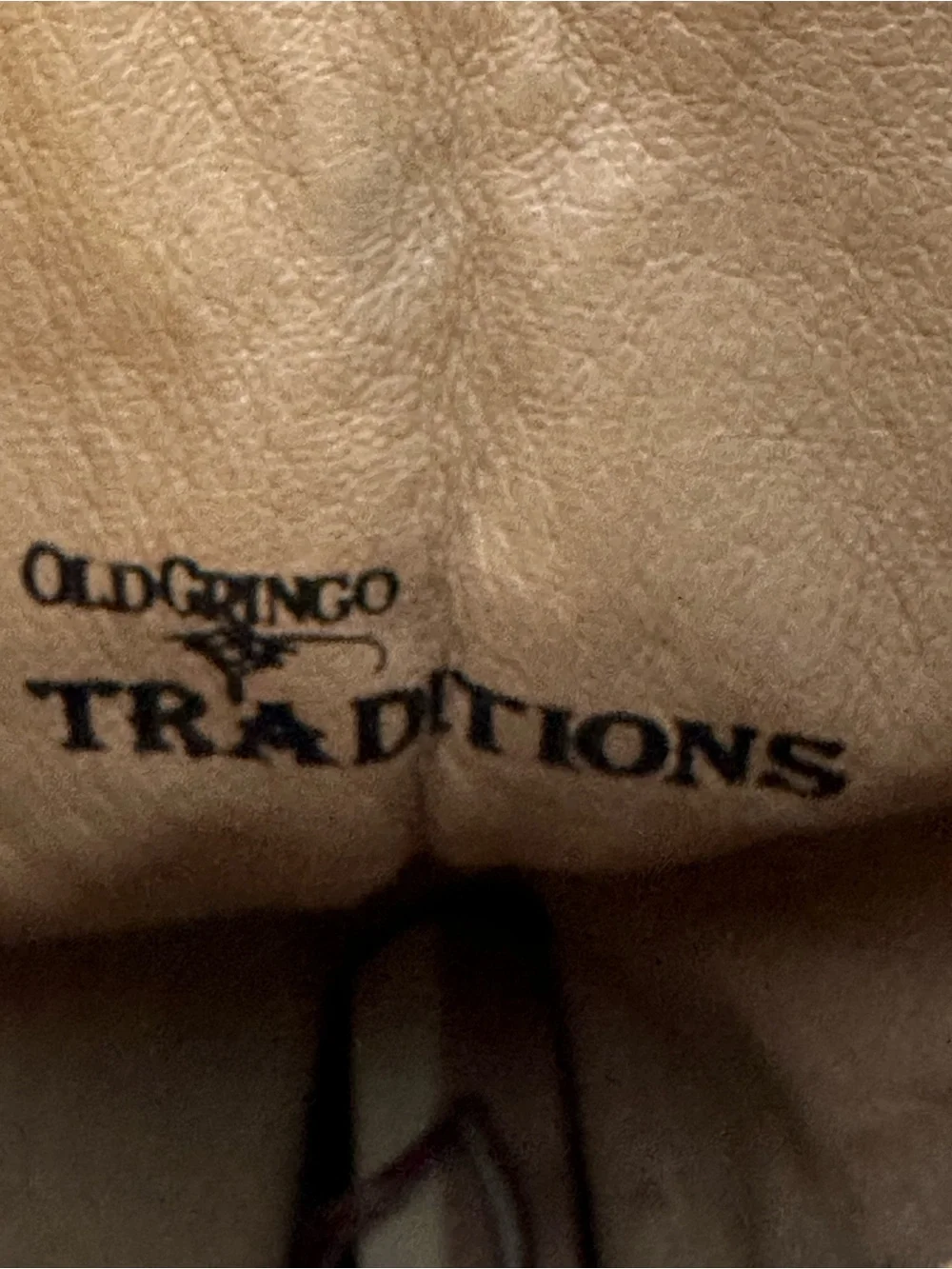 Old Gringo old gringo